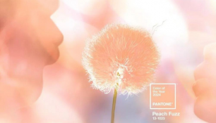 Pantone 2024’nin Rengini Belirledi: Peach Fuzz (Şeftali tüyü)